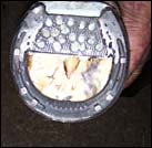 Hufrehebeschlag